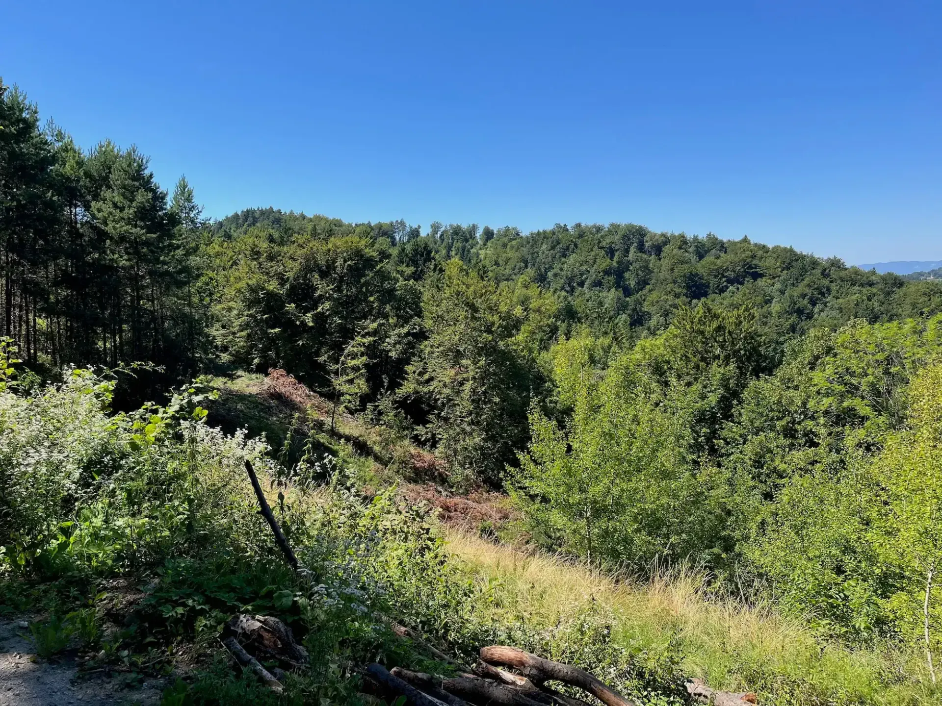 Panoramablick